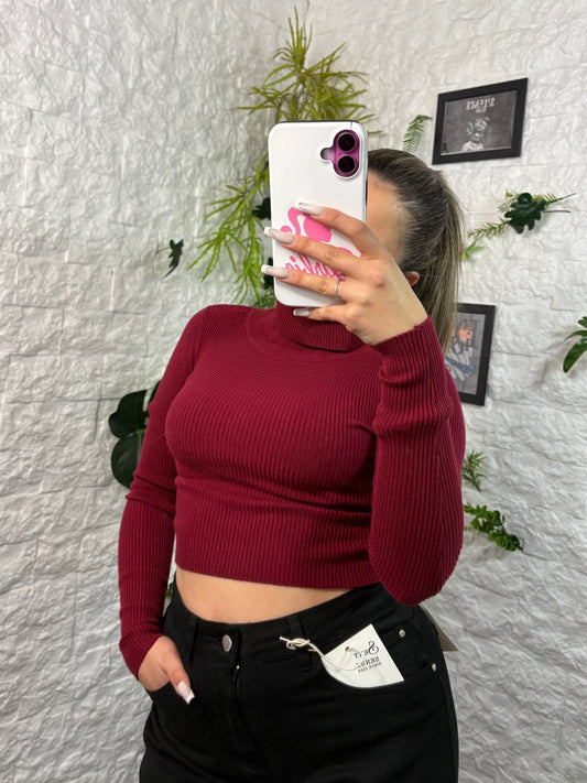 Dolcevita crop-top a costine con collo alto